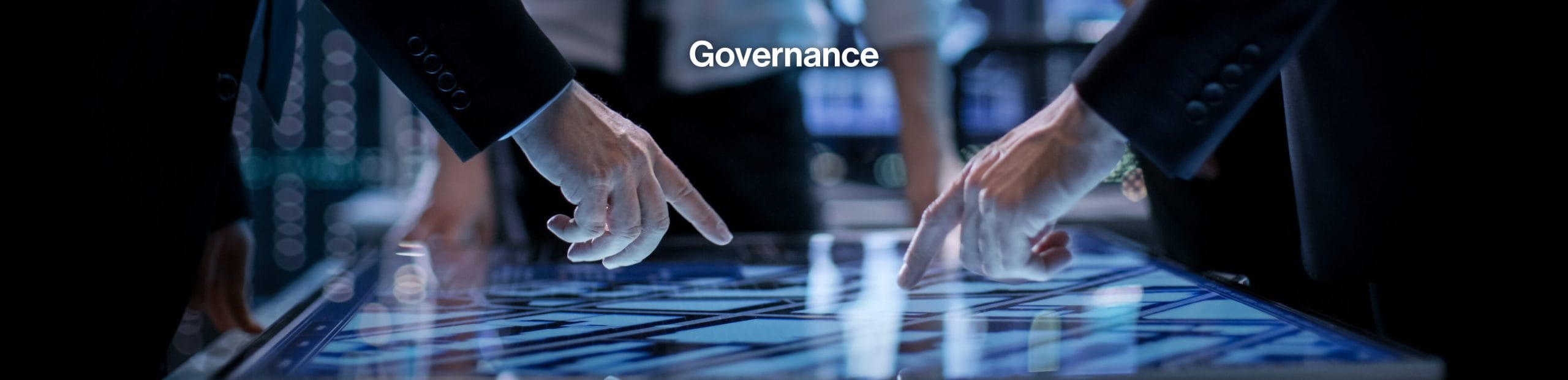 HASDIG_ABOUT US GOVERNANCE